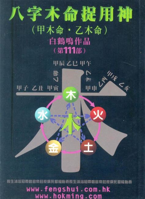 八字 木|命理基礎知識梳理08：木五行入命丨吉則仁壽俱全，兇。